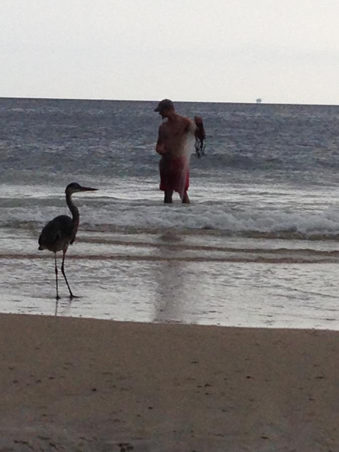 Gulf Shores Plantation Zewnętrze zdjęcie